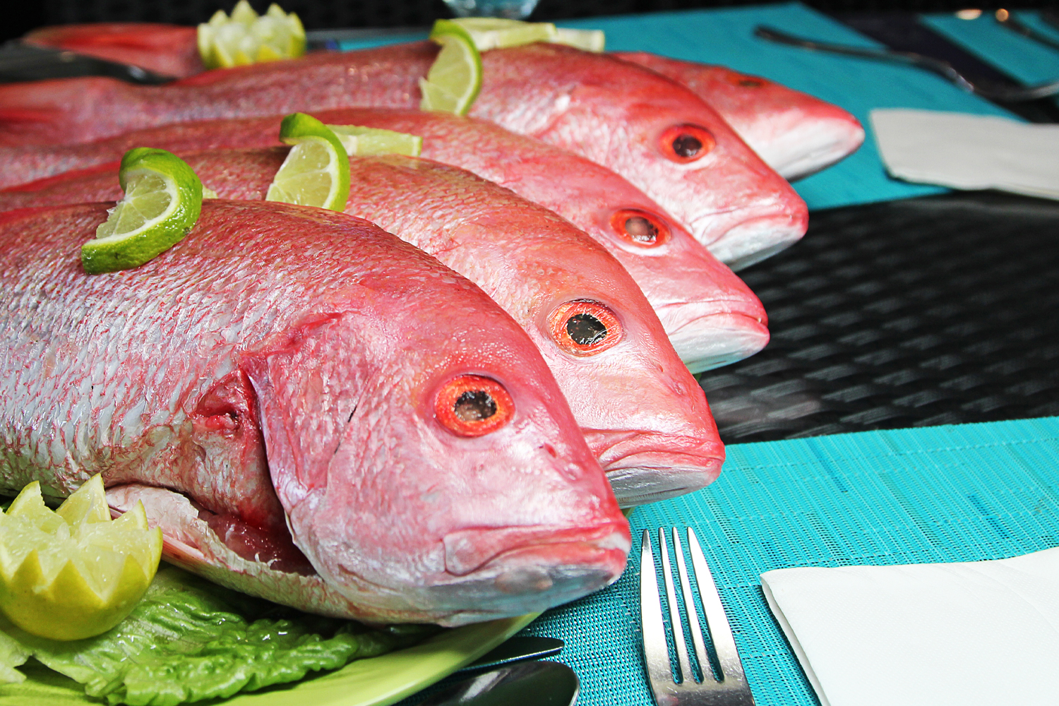 The Grand Fish Restaurant Aruba